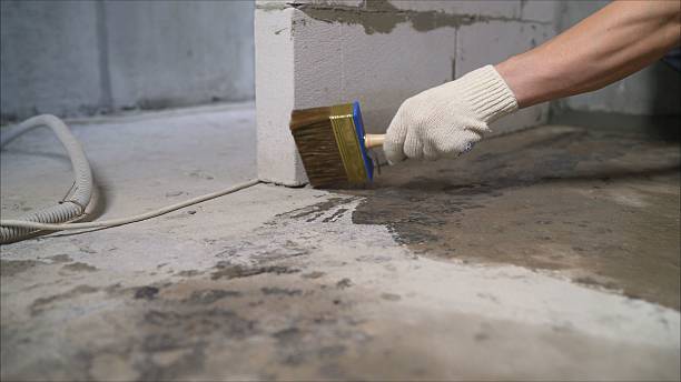 24/7 Emergency Crawl Space Encapsulation experts in Leonidas, MI